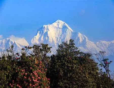 best of nepal tour - dhaulagiri mountain view from poon hill